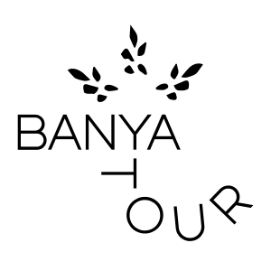 banya-tour.width-500